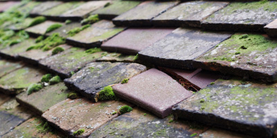 Bradwell roof repair costs